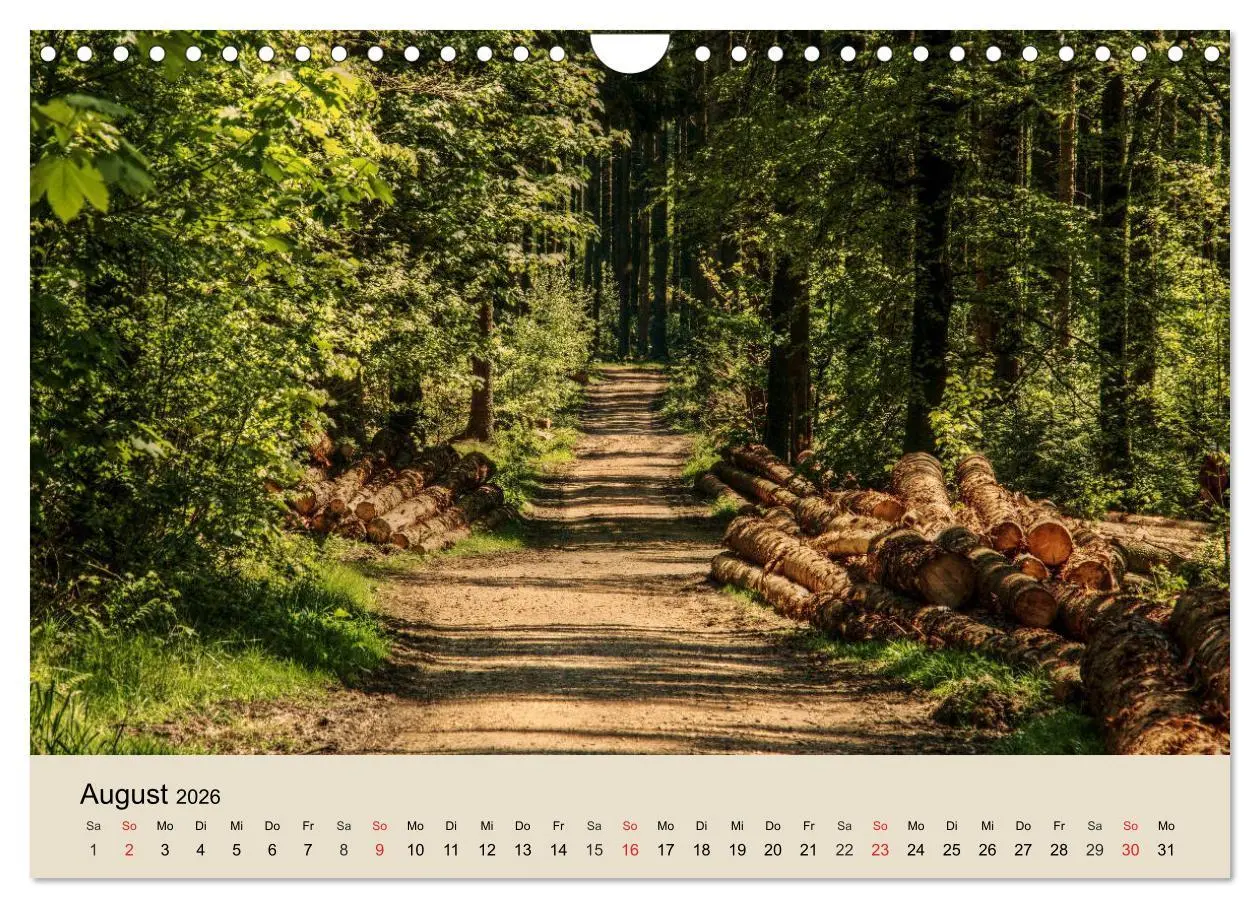 Bild: 9783457937419 | Der Wald. Durch zauberhafte Waldlandschaften (Wandkalender 2026 DIN...