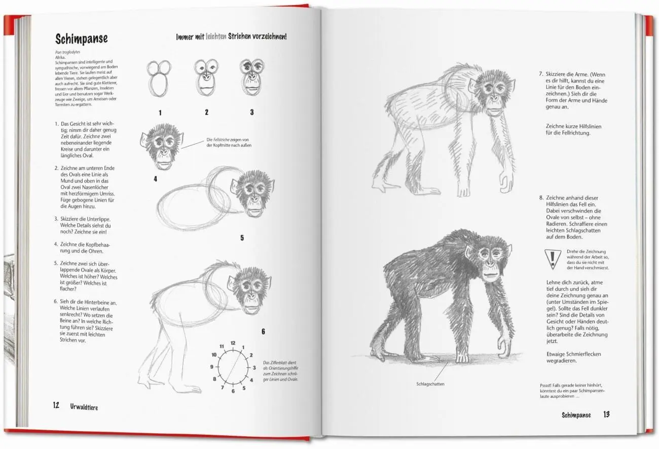 Bild: 9783836587419 | Dessiner pas à pas | TASCHEN | Buch | Französisch | 2024 | TASCHEN