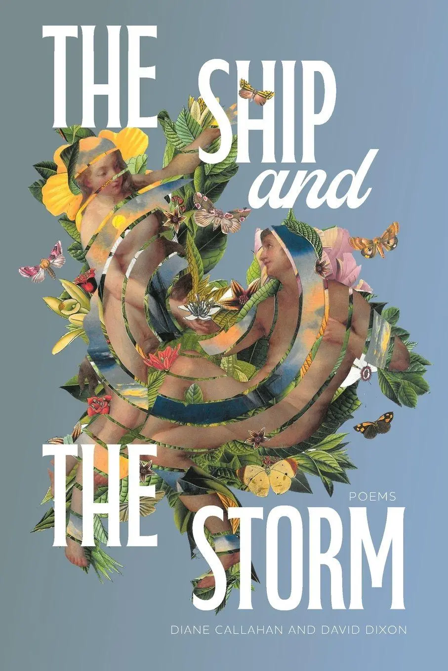 Cover: 9781957627519 | The Ship and the Storm | Poems | Diane Callahan (u. a.) | Taschenbuch