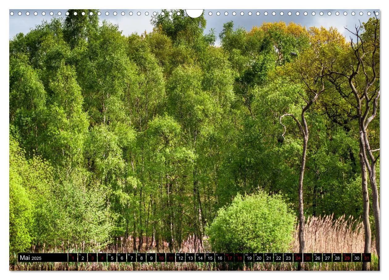 Bild: 9783435387519 | Bottrops schöne Flecken (Wandkalender 2025 DIN A3 quer), CALVENDO...