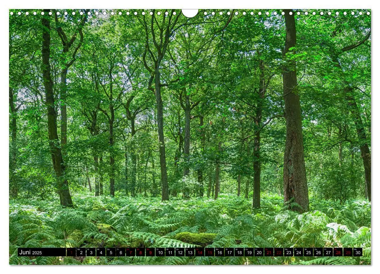 Bild: 9783435387519 | Bottrops schöne Flecken (Wandkalender 2025 DIN A3 quer), CALVENDO...