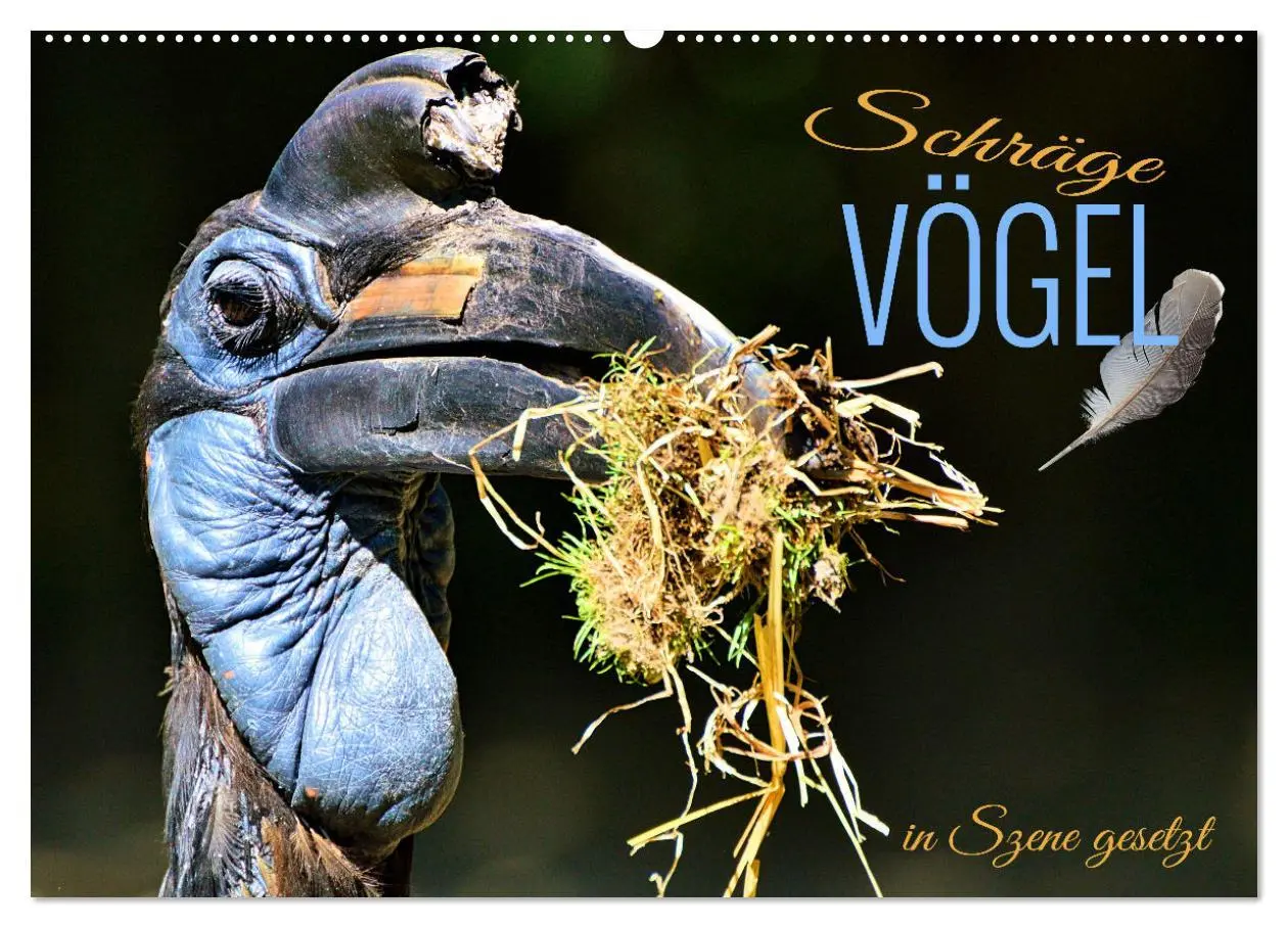 Cover: 9783457547519 | Schräge Vögel in Szene gesetzt (Wandkalender 2026 DIN A2 quer),...