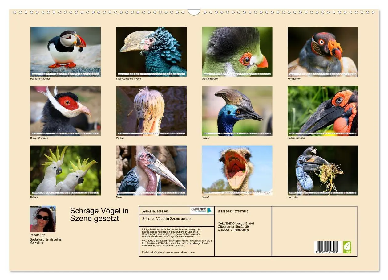 Bild: 9783457547519 | Schräge Vögel in Szene gesetzt (Wandkalender 2026 DIN A2 quer),...
