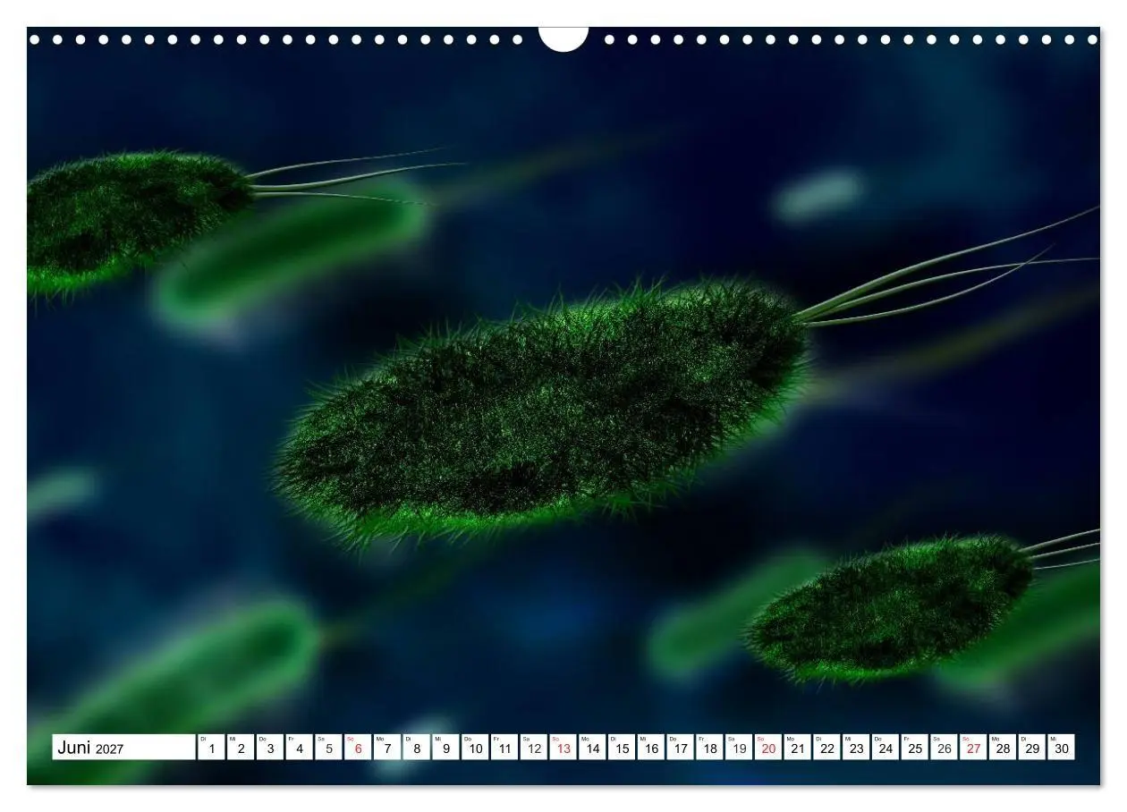 Bild: 9783569897519 | Mikrobiologie. Mikroorganismen, Genetik und Zellen (Wandkalender...