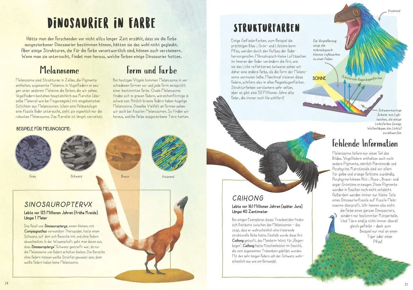Bild: 9783957287519 | Vom Tyrannosaurus zum Huhn | Die unglaubliche Evolution der Vögel