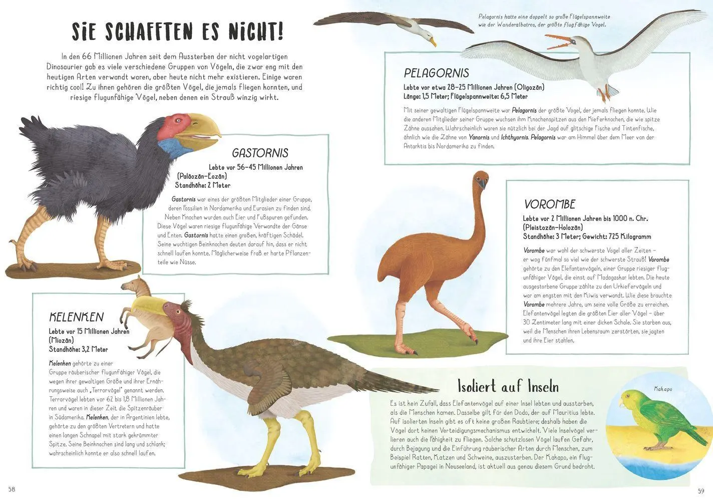 Bild: 9783957287519 | Vom Tyrannosaurus zum Huhn | Die unglaubliche Evolution der Vögel Bild: 9783957287519 | Vom Tyrannosaurus zum Huhn | Die unglaubliche Evolution der Vögel