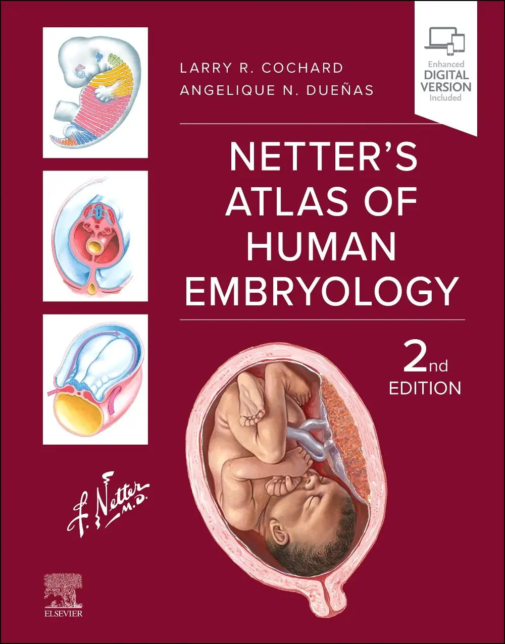 Cover: 9780443117619 | Netter's Atlas of Human Embryology | Angelique N. Duenas (u. a.)