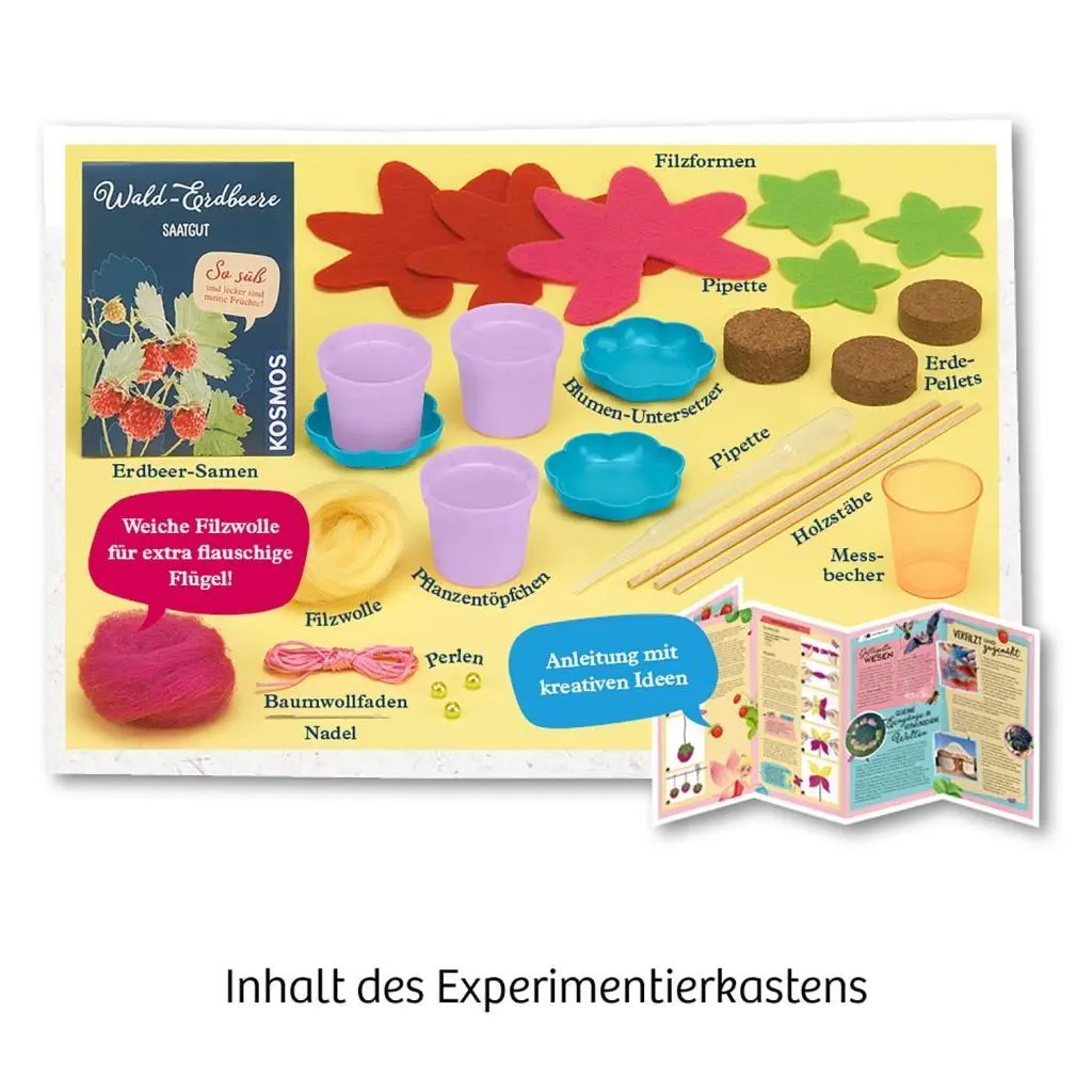 Bild: 4002051657819 | Feen-Erdbeeren | Experimentierkasten | Spiel | Brettspiel | 657819