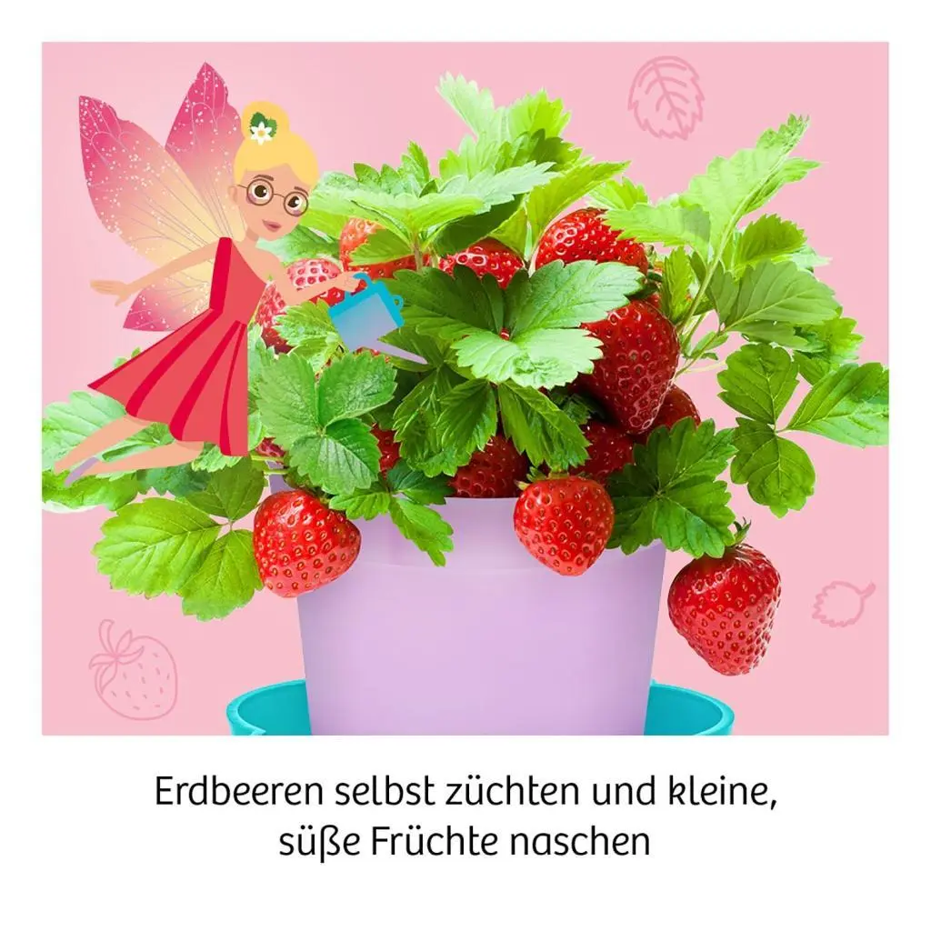 Bild: 4002051657819 | Feen-Erdbeeren | Experimentierkasten | Spiel | Brettspiel | 657819