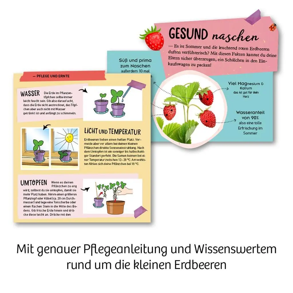 Bild: 4002051657819 | Feen-Erdbeeren | Experimentierkasten | Spiel | Brettspiel | 657819