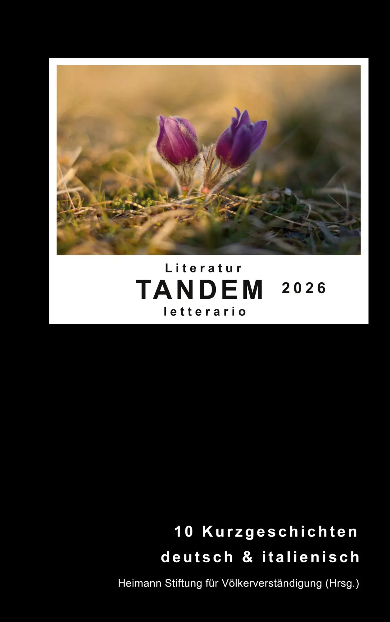 Cover: 9783696727819 | Literatur Tandem letterario 2026 | Stiftung Heimann | Taschenbuch