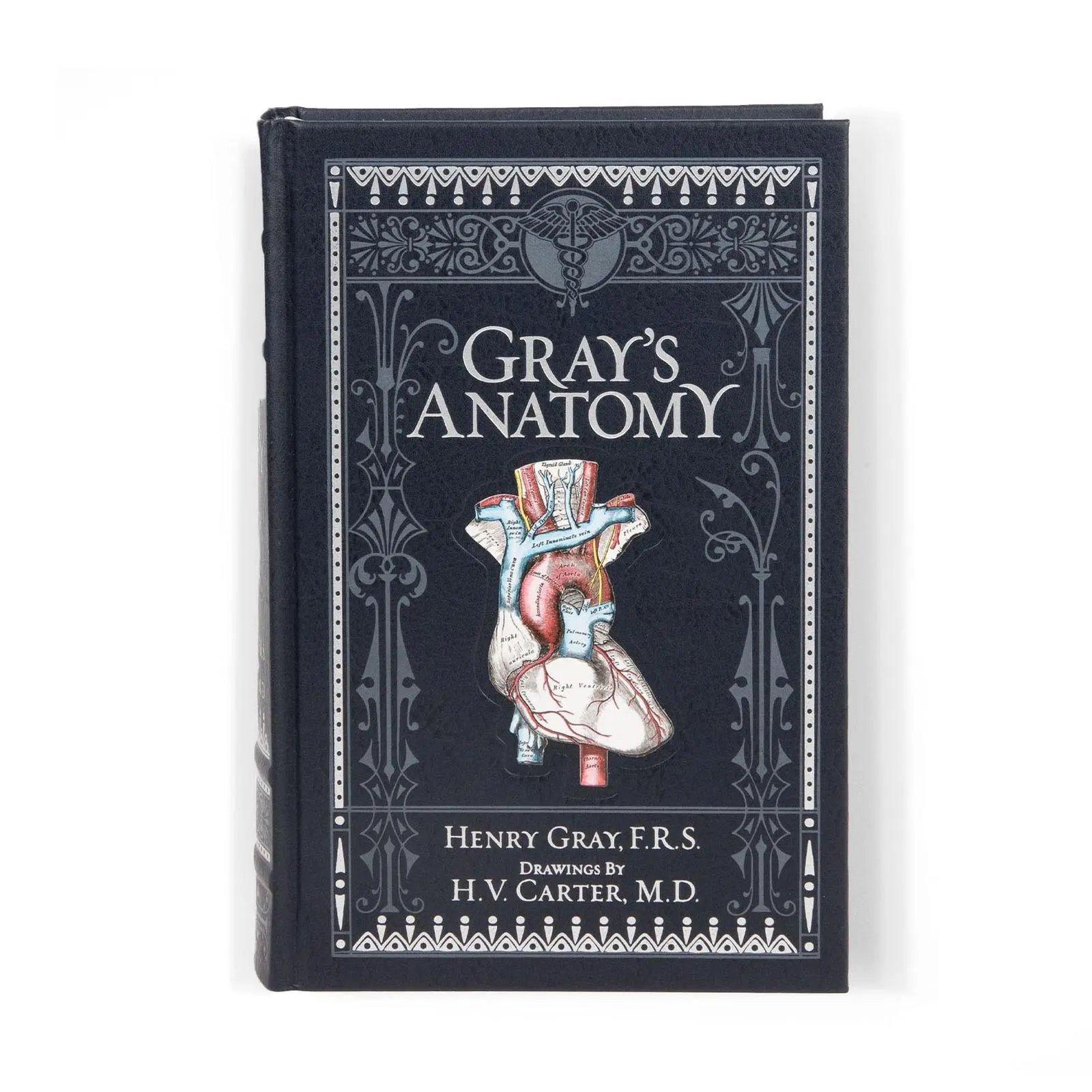 Cover: 9781435167919 | Gray's Anatomy (Barnes &amp; Noble Collectible Classics: Omnibus Edition)