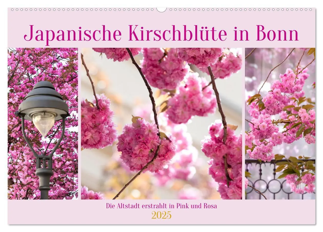 Cover: 9783457127919 | Japanische Kirschblüte in Bonn (Wandkalender 2025 DIN A2 quer),...