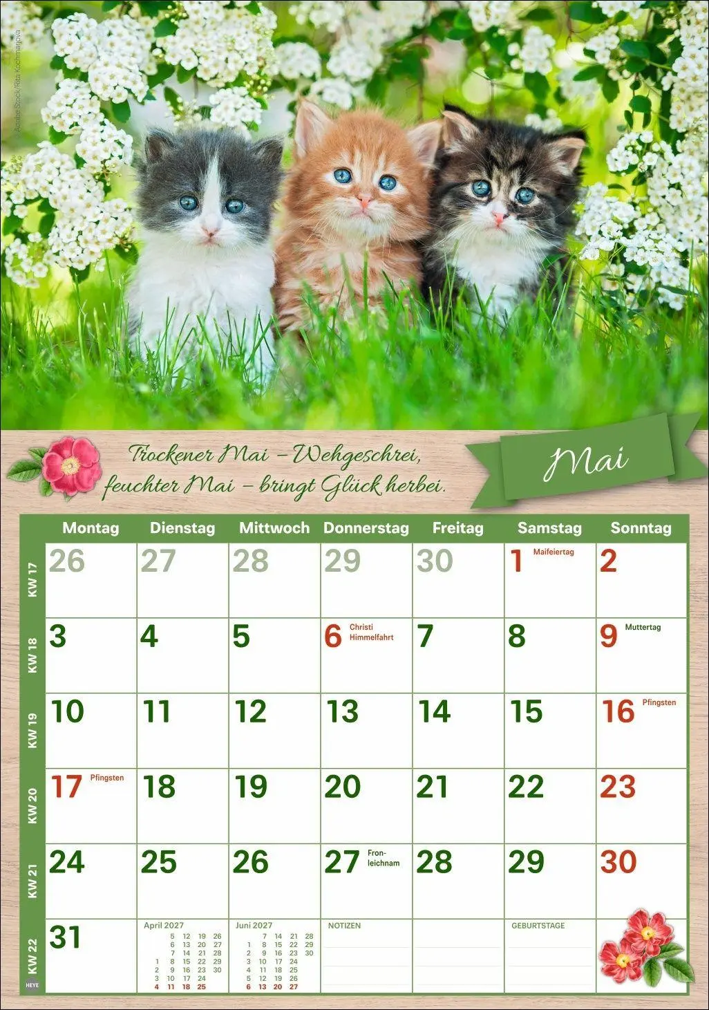 Bild: 9783756417919 | Rentnerkalender 2027 | Kalender | Spiralbindung | 25 S. | Deutsch