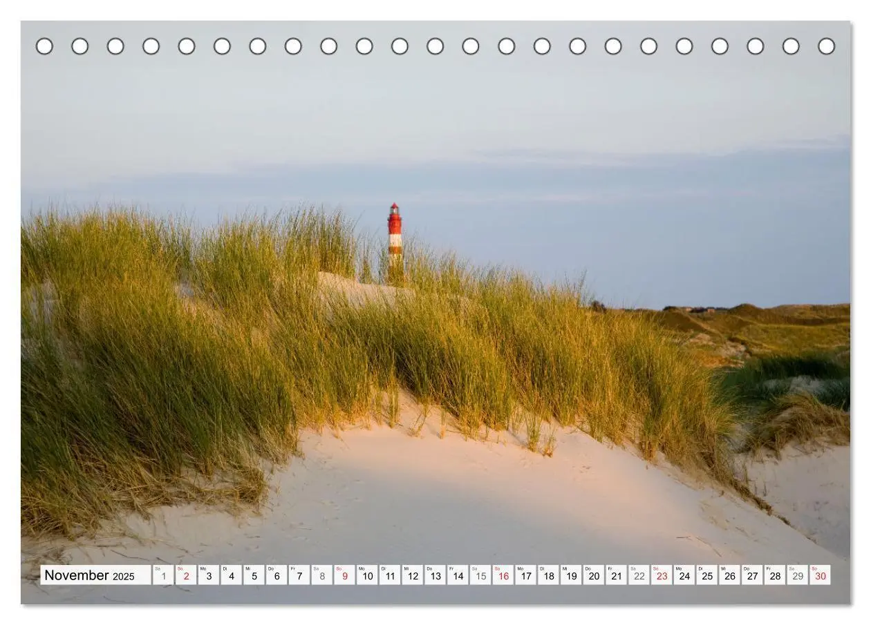 Bild: 9783435618019 | Amrum. Natur und Landschaften (Tischkalender 2025 DIN A5 quer),...