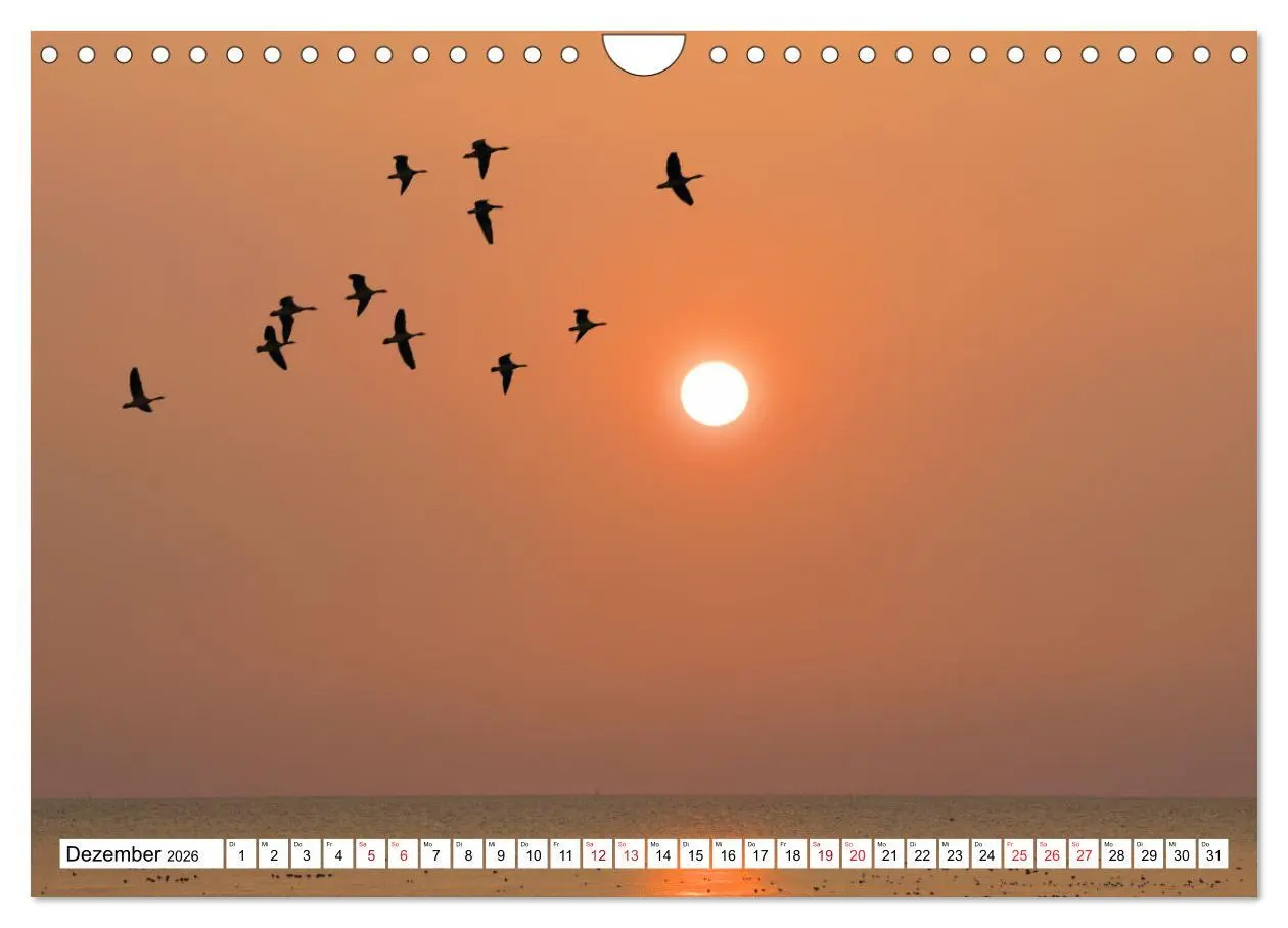 Bild: 9783457638019 | GREETSIEL - Schafe - Krabbenkutter - Möwen (Wandkalender 2026 DIN...