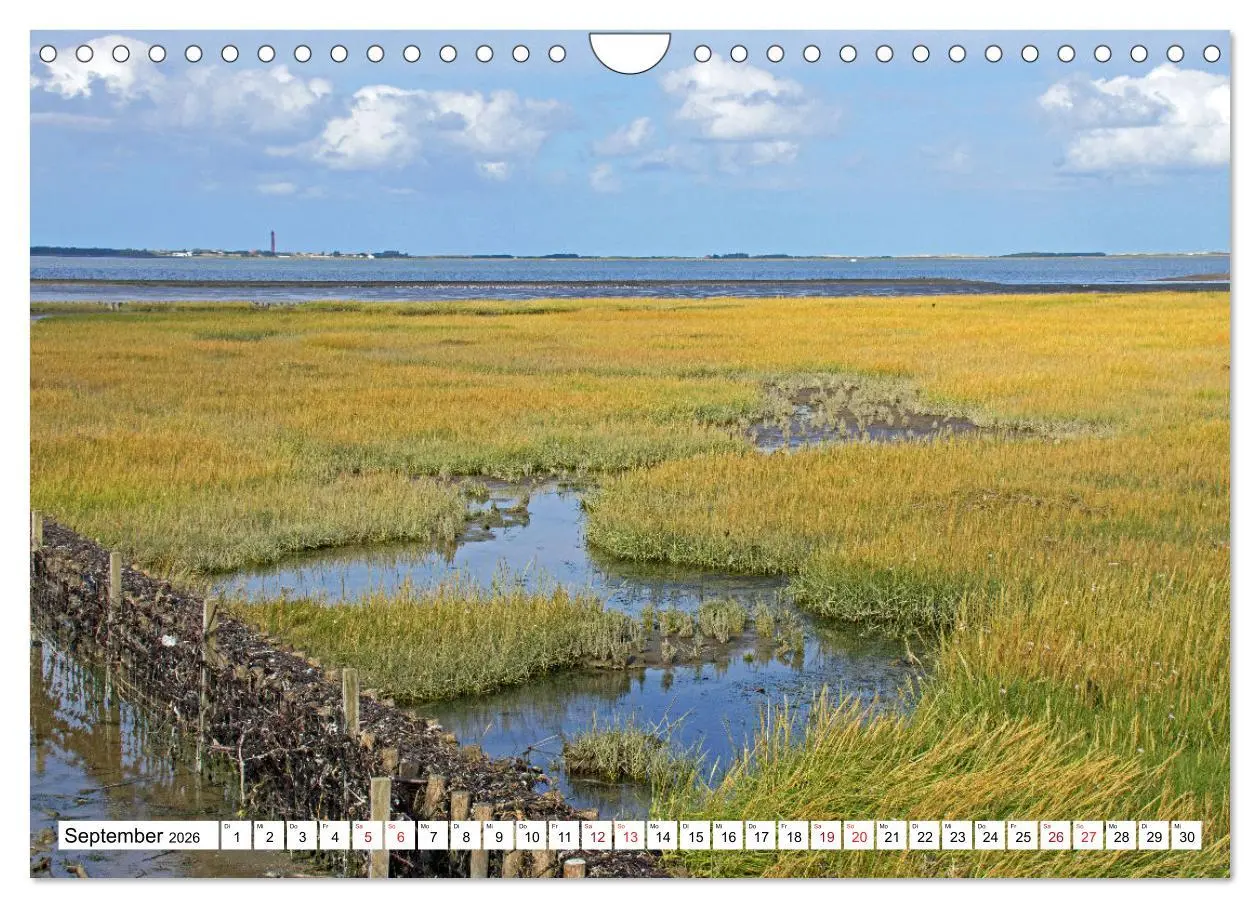 Bild: 9783457638019 | GREETSIEL - Schafe - Krabbenkutter - Möwen (Wandkalender 2026 DIN...