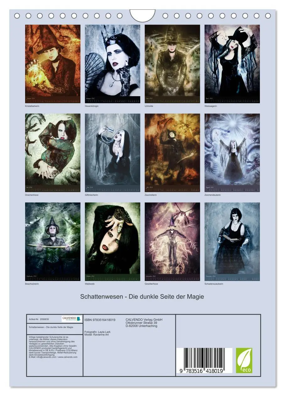 Bild: 9783516418019 | Schattenwesen - Die dunkle Seite der Magie (Wandkalender 2026 DIN...