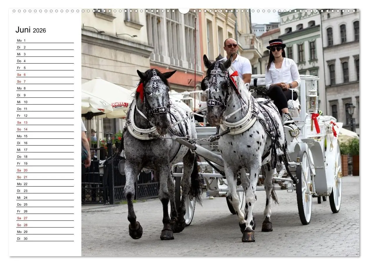 Bild: 9783516658019 | Besucht doch mal Krakau (hochwertiger Premium Wandkalender 2026 DIN...