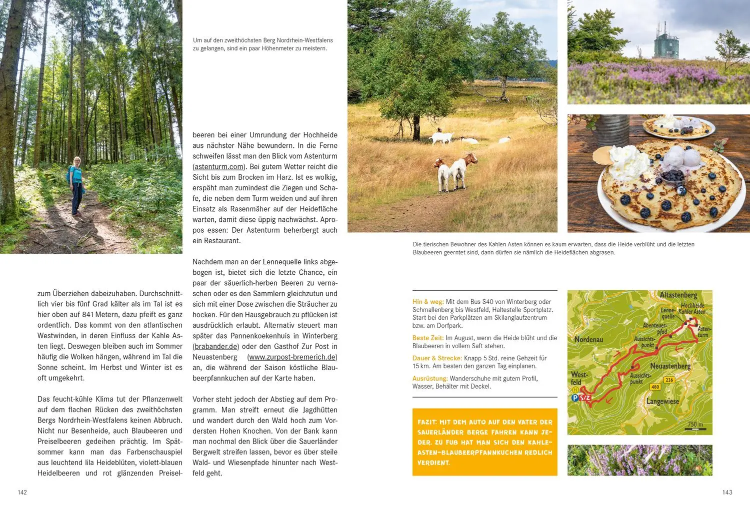 Bild: 9783616028019 | 52 kleine &amp; große Eskapaden Rothaargebirge und Sauerland | Lattek