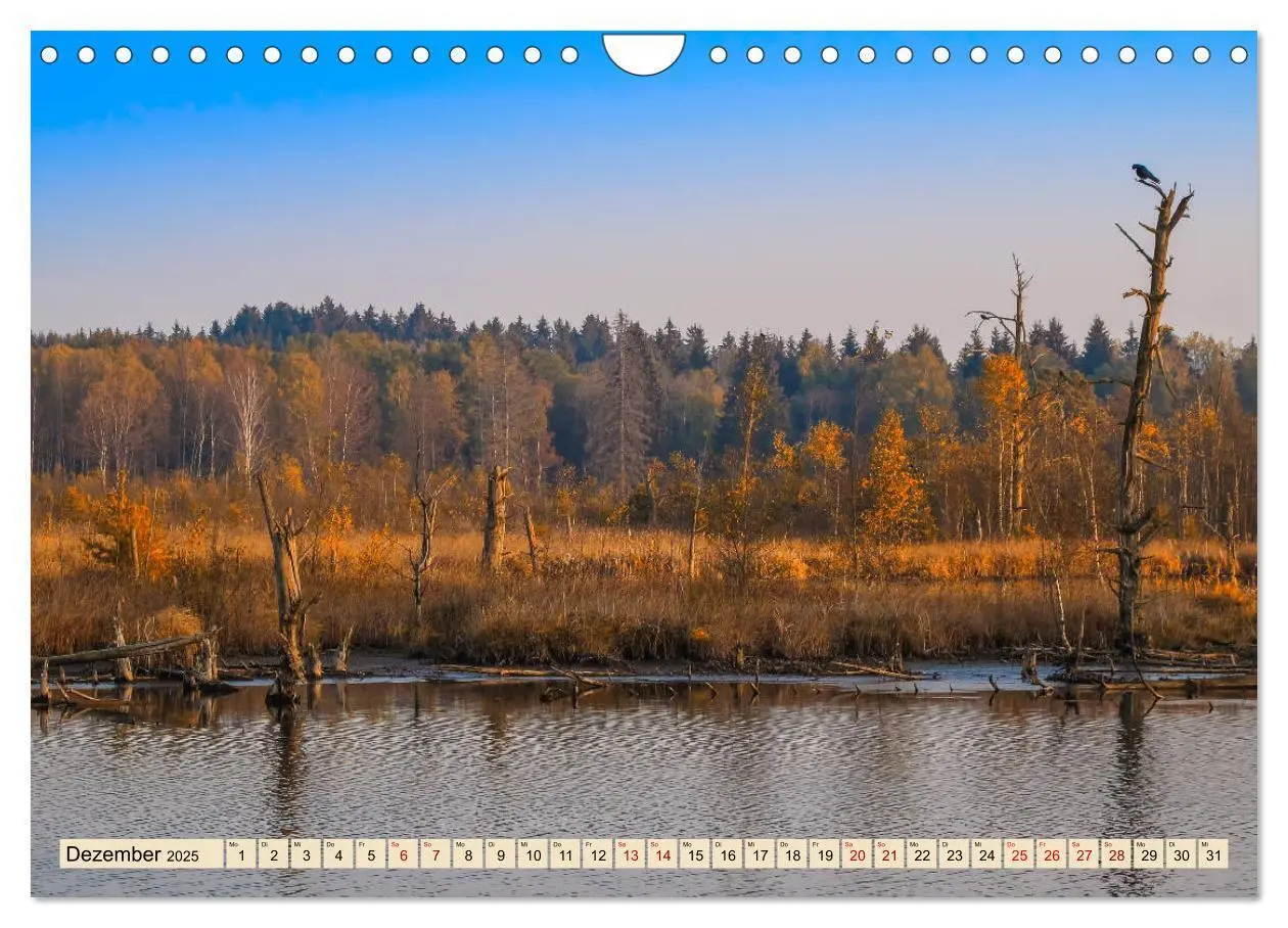 Bild: 9783435228119 | Herbst im Schwenninger Moos (Wandkalender 2025 DIN A4 quer),...