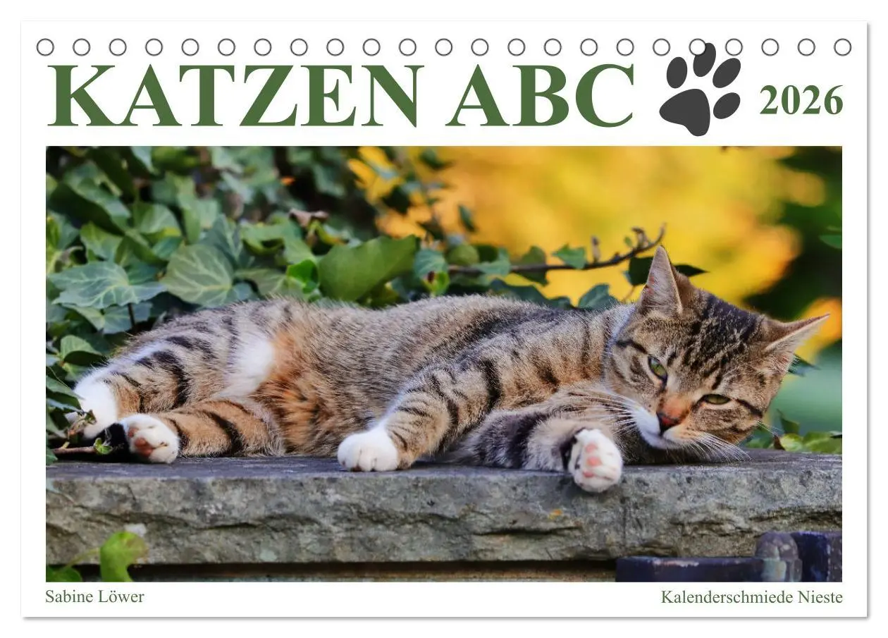 Cover: 9783457798119 | Katzen ABC (Tischkalender 2026 DIN A5 quer), CALVENDO Monatskalender