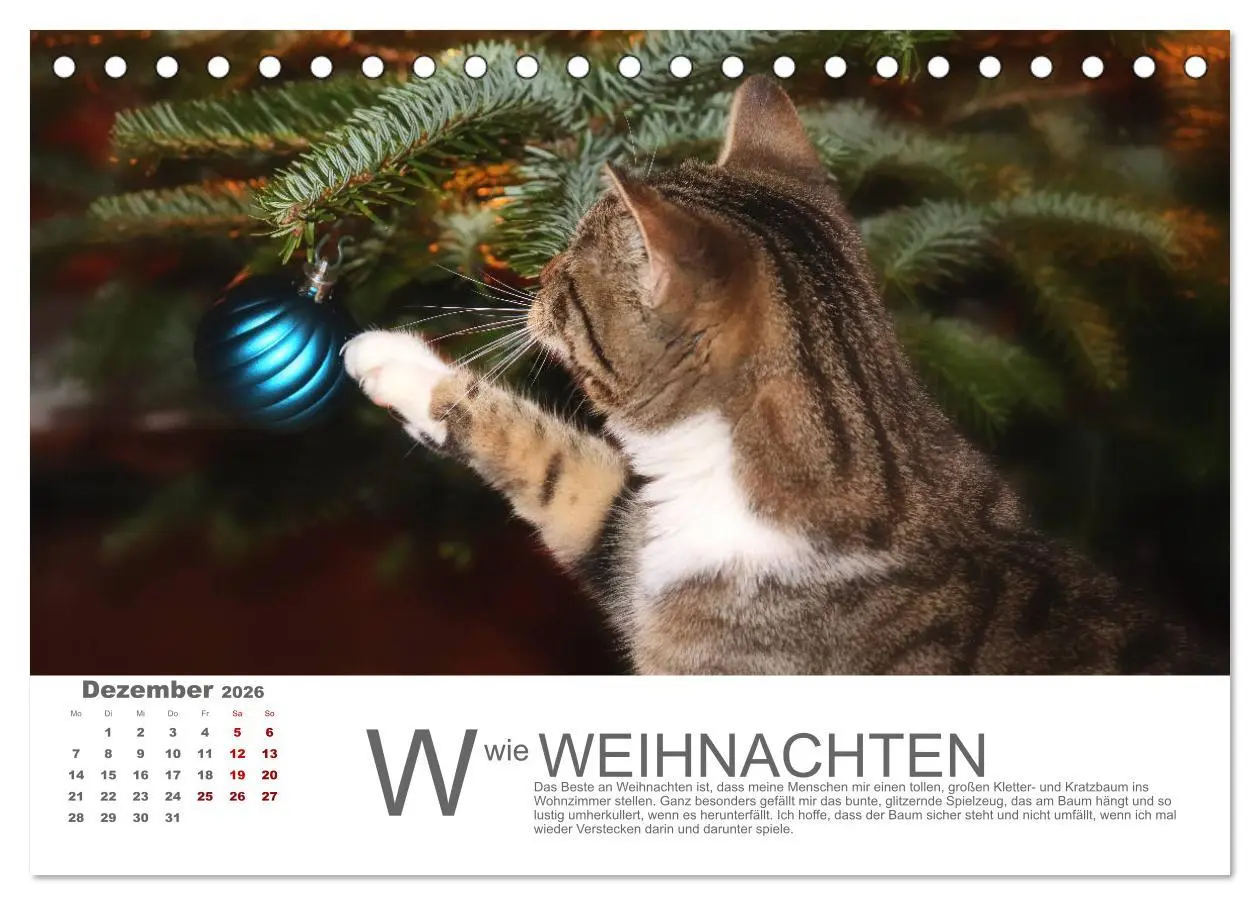 Bild: 9783457798119 | Katzen ABC (Tischkalender 2026 DIN A5 quer), CALVENDO Monatskalender