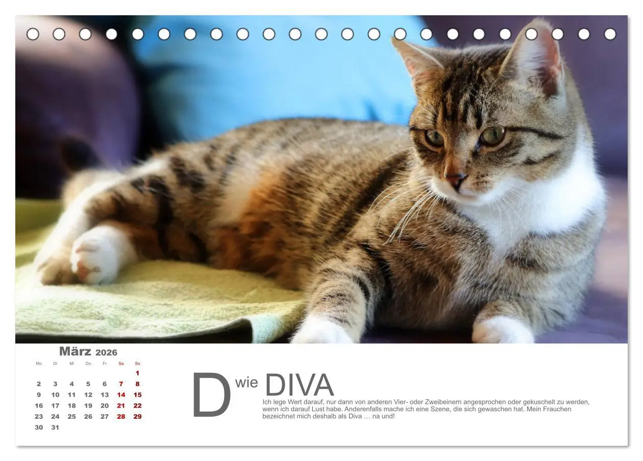 Bild: 9783457798119 | Katzen ABC (Tischkalender 2026 DIN A5 quer), CALVENDO Monatskalender