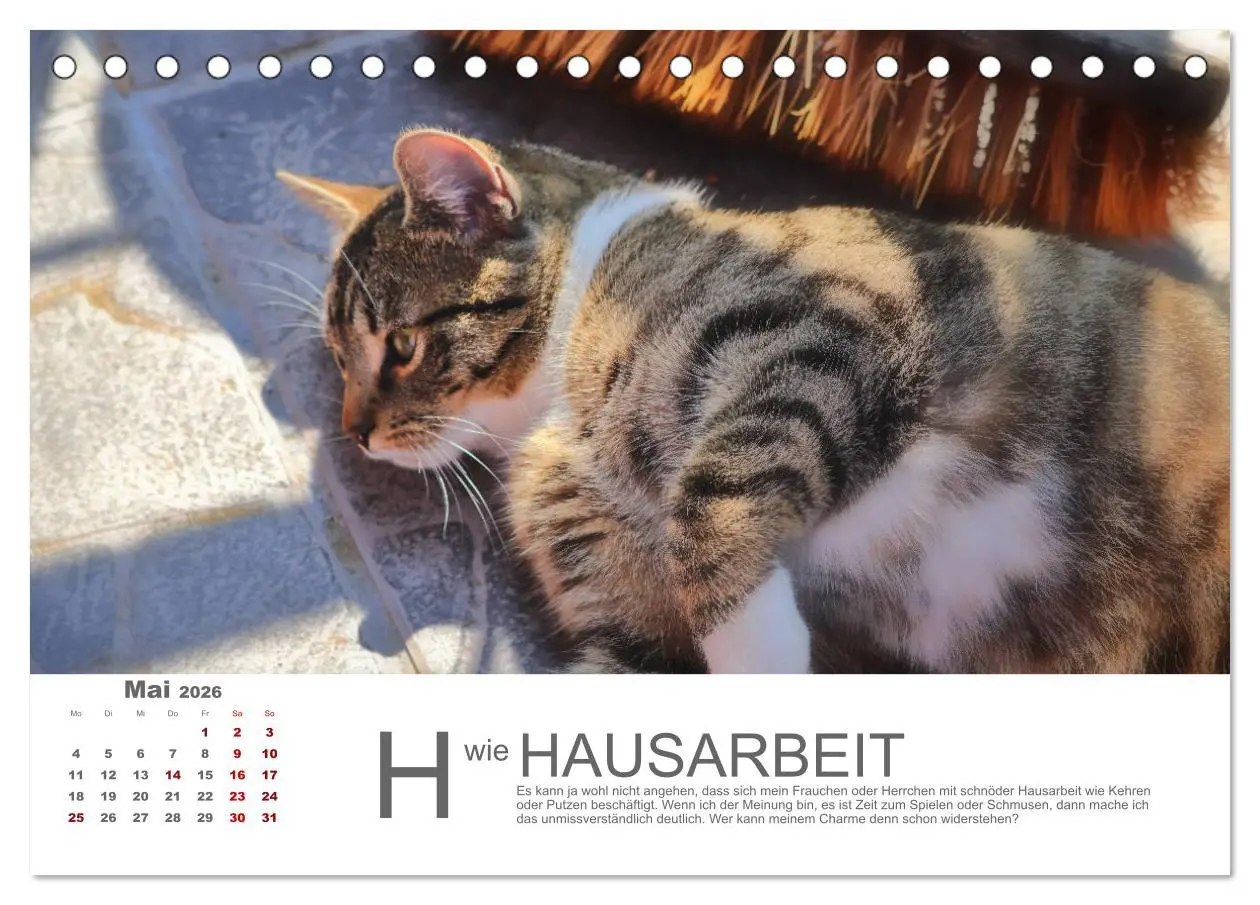Bild: 9783457798119 | Katzen ABC (Tischkalender 2026 DIN A5 quer), CALVENDO Monatskalender