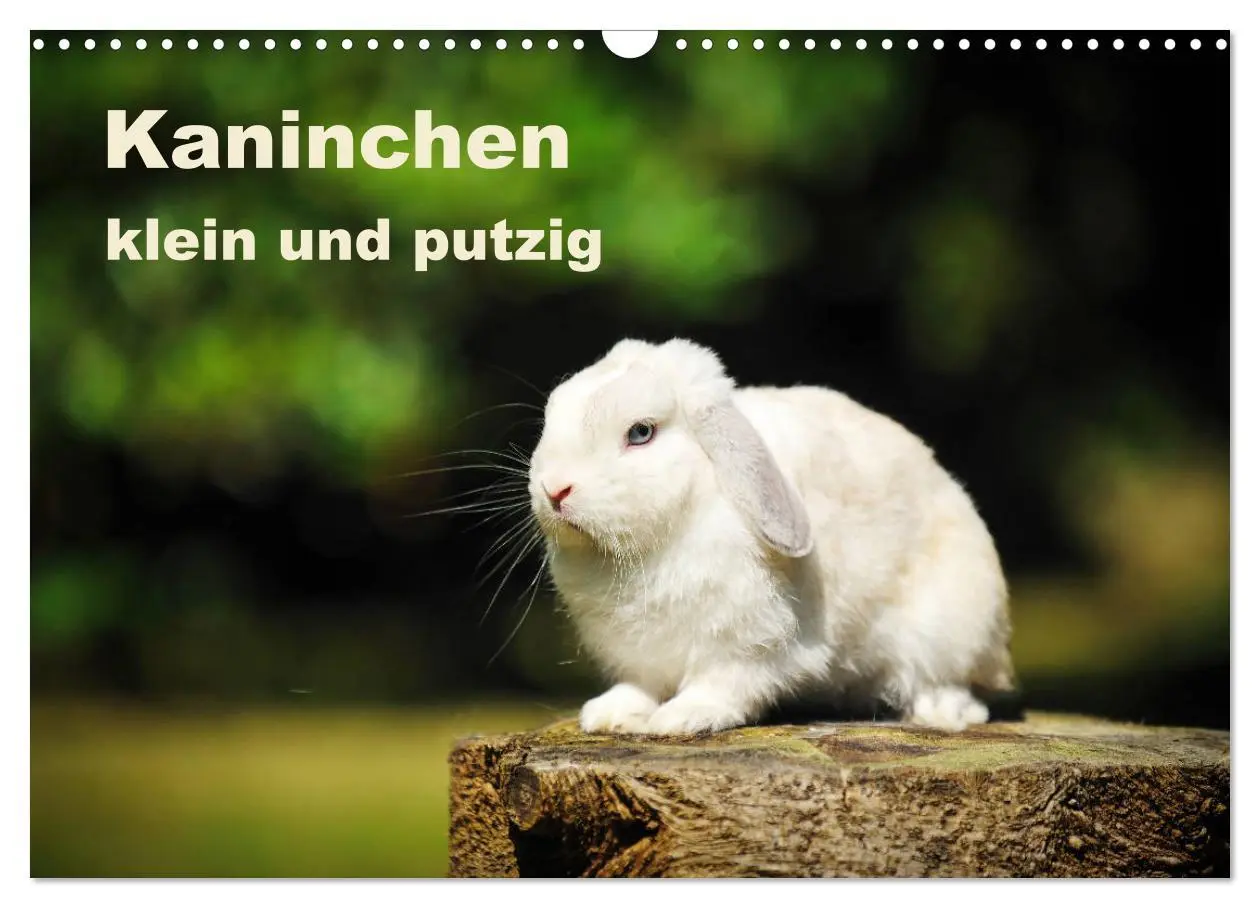 Cover: 9783457938119 | Kaninchen klein und putzig (Wandkalender 2026 DIN A3 quer),...