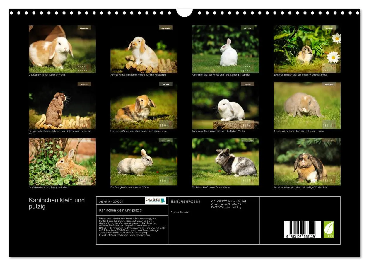 Bild: 9783457938119 | Kaninchen klein und putzig (Wandkalender 2026 DIN A3 quer),...