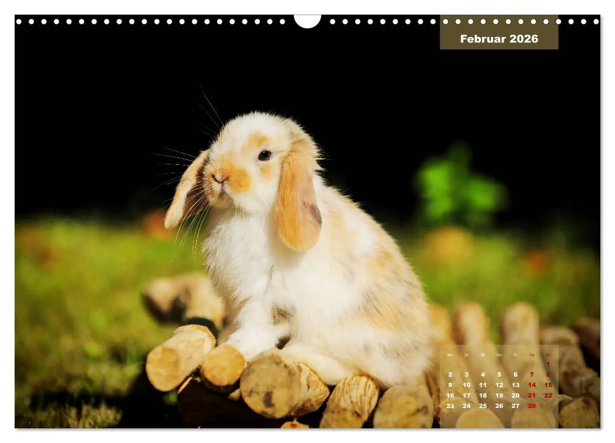 Bild: 9783457938119 | Kaninchen klein und putzig (Wandkalender 2026 DIN A3 quer),...