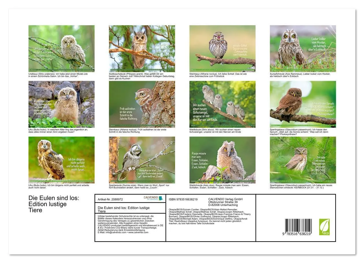 Bild: 9783516638219 | Die Eulen sind los: Edition lustige Tiere (hochwertiger Premium...
