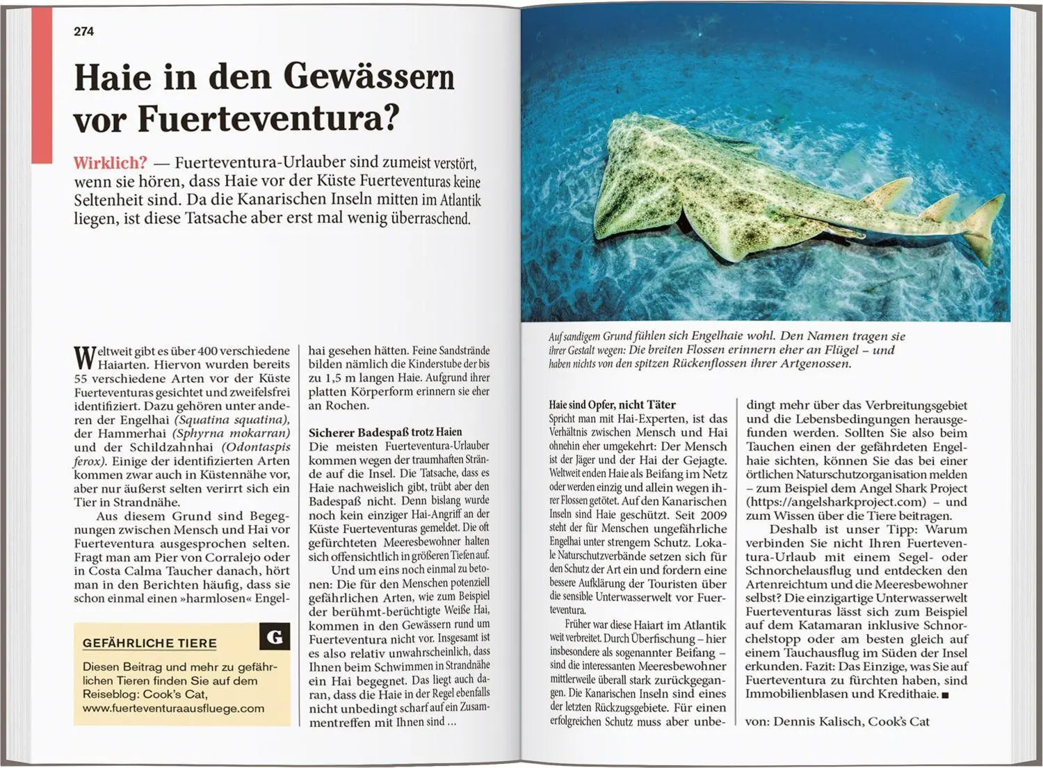 Bild: 9783616008219 | DUMONT Reise-Taschenbuch Reiseführer Fuerteventura | Susanne Lipps