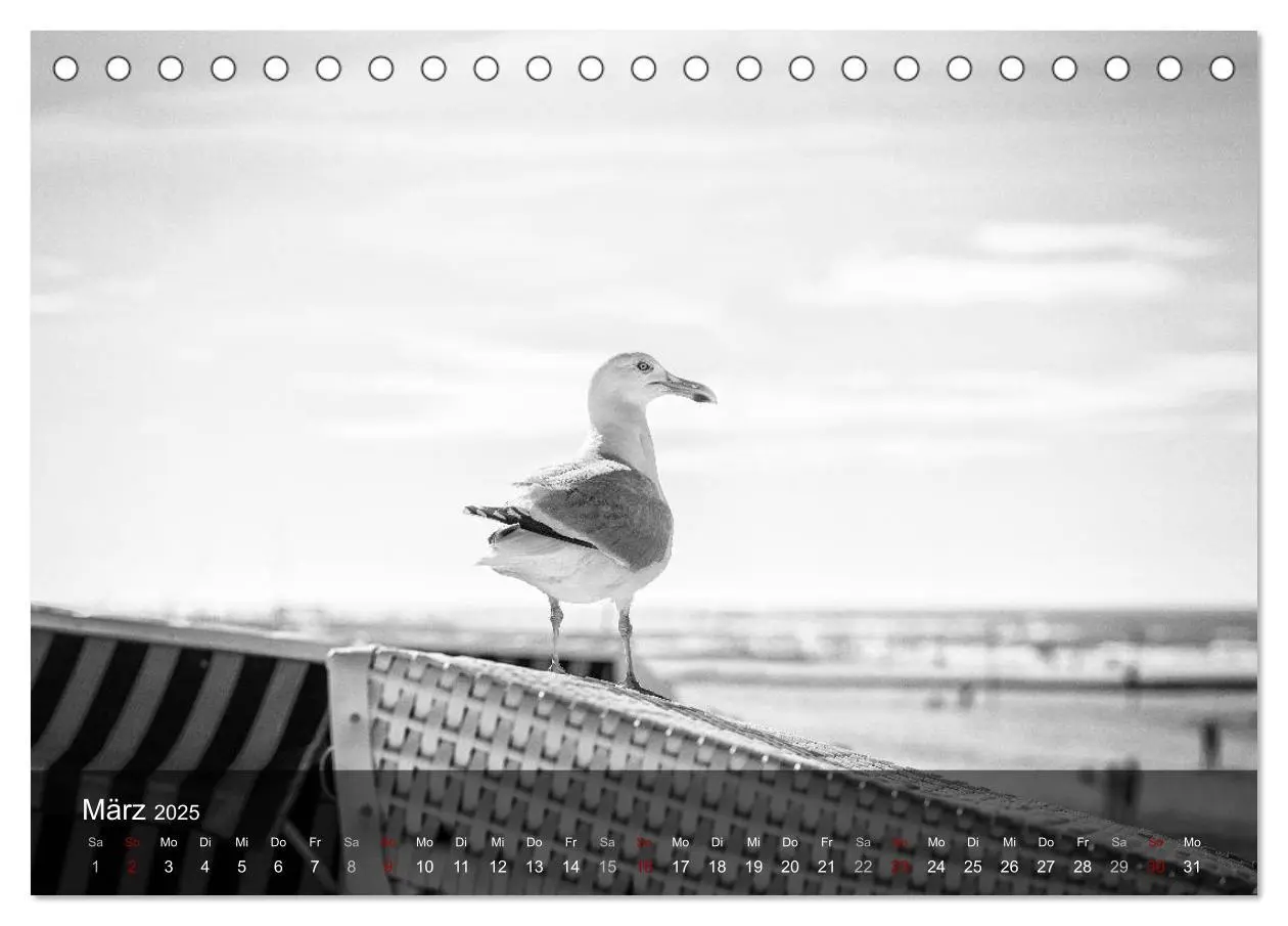 Bild: 9783435378319 | Wangerooge Noir (Tischkalender 2025 DIN A5 quer), CALVENDO...