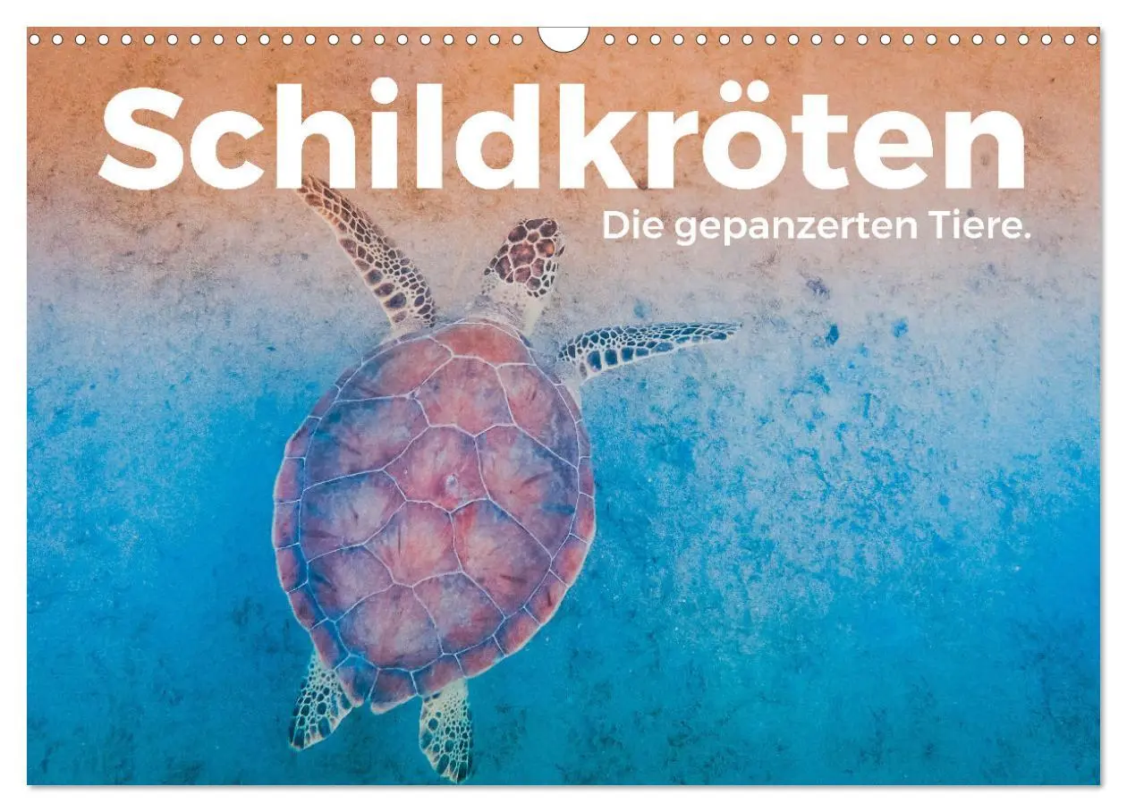 Cover: 9783457608319 | Schildkröten - Die gepanzerten Tiere. (Wandkalender 2026 DIN A3...