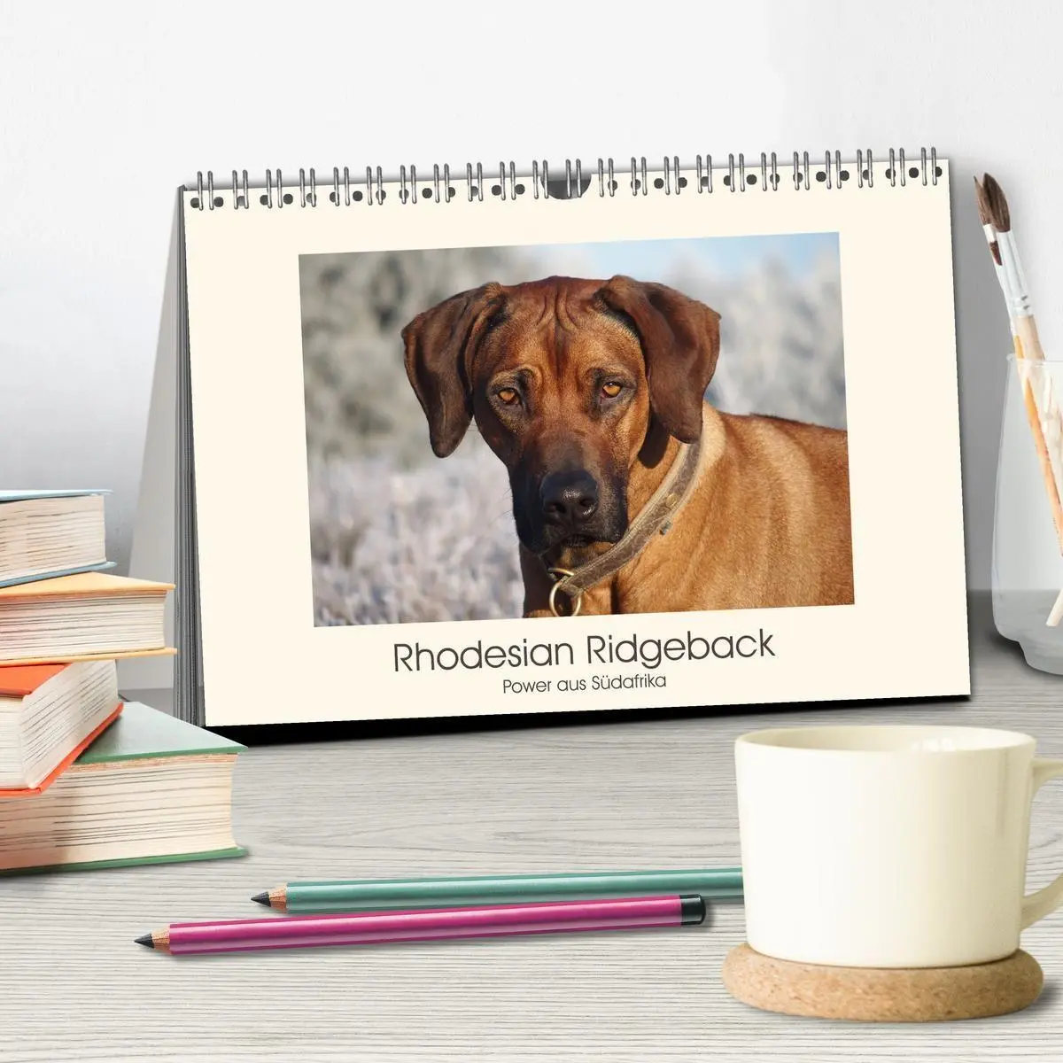 Bild: 9783457848319 | Rhodesian Ridgeback Power aus Südafrika (Tischkalender 2026 DIN A5...