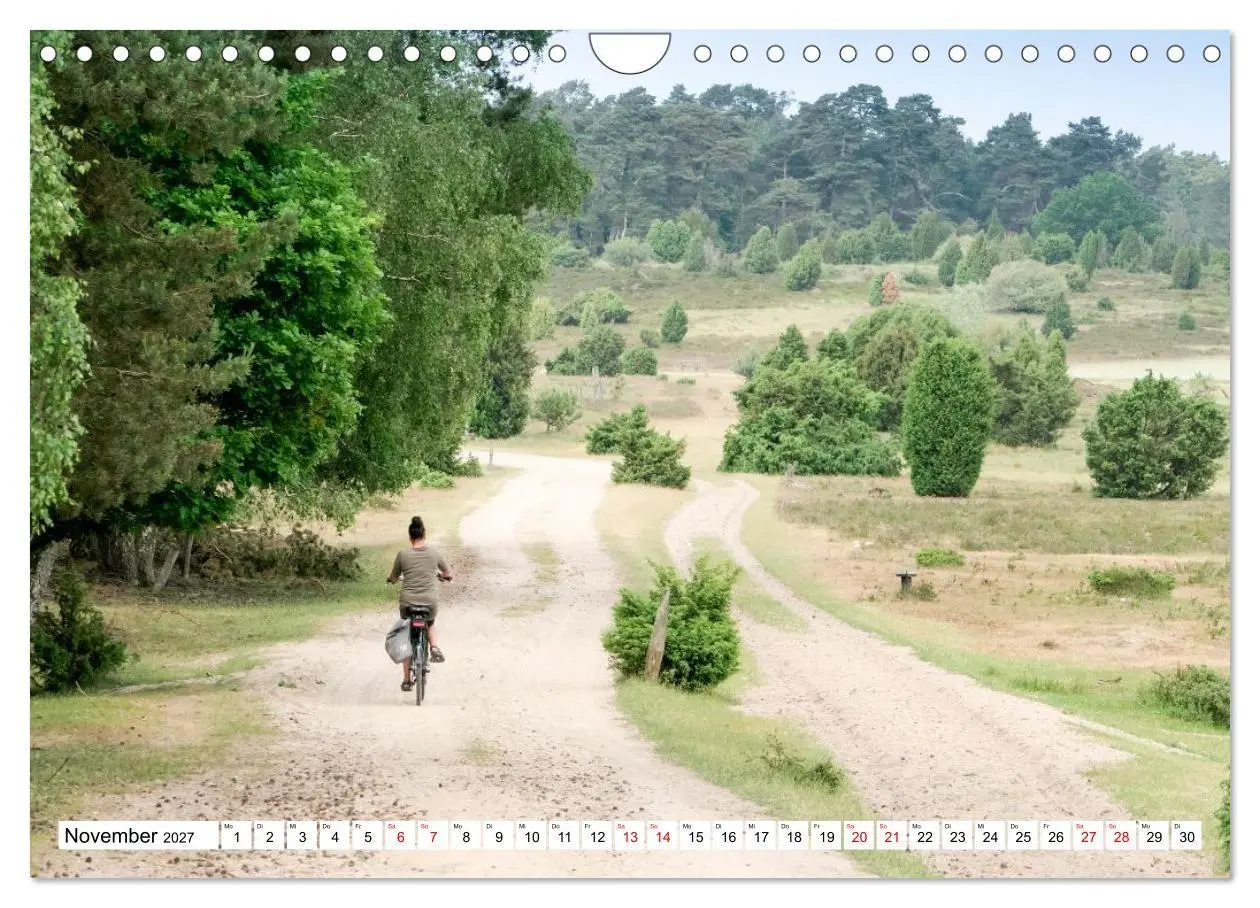 Bild: 9783516798319 | Radland Deutschland - Lüneburger Heide (Wandkalender 2027 DIN A4...