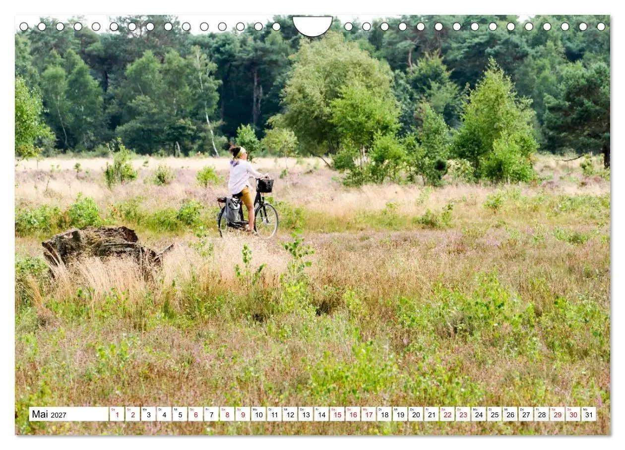 Bild: 9783516798319 | Radland Deutschland - Lüneburger Heide (Wandkalender 2027 DIN A4...