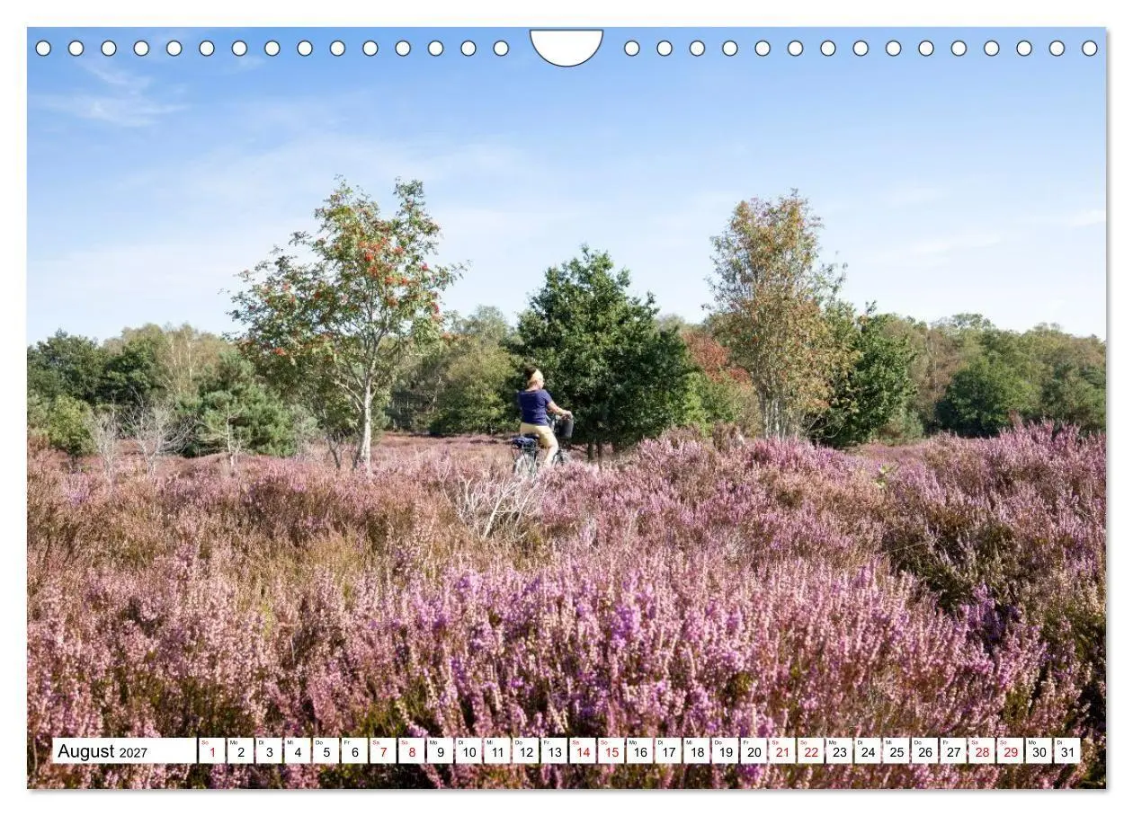 Bild: 9783516798319 | Radland Deutschland - Lüneburger Heide (Wandkalender 2027 DIN A4...