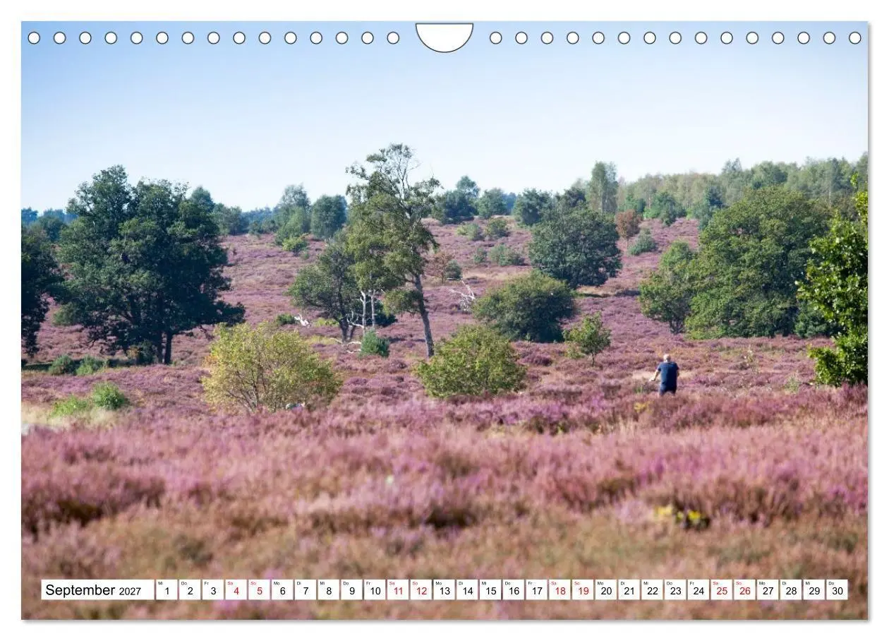 Bild: 9783516798319 | Radland Deutschland - Lüneburger Heide (Wandkalender 2027 DIN A4...