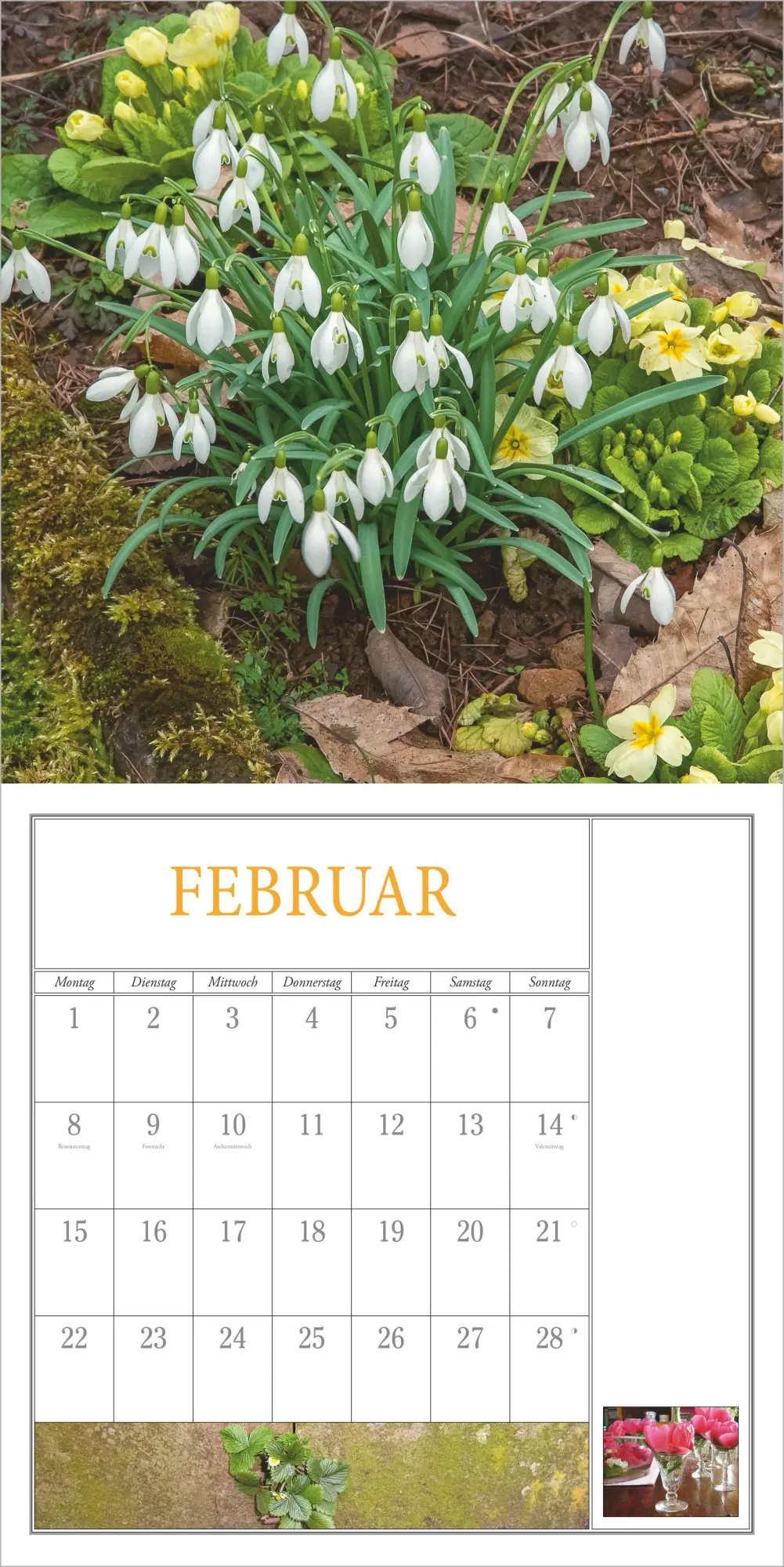 Bild: 4069095018419 | Freude im Garten 2027 | Neumann Verlage GmbH &amp; Co KG | Kalender | 2027