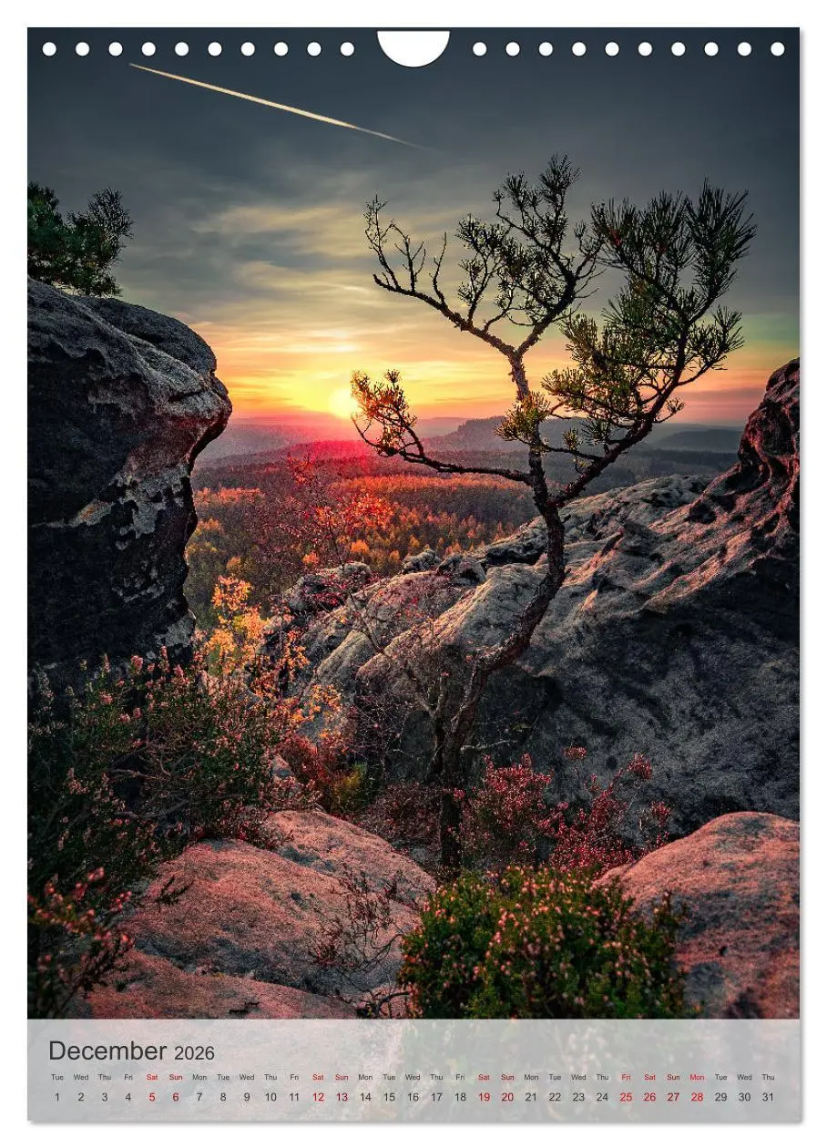 Bild: 9783516548419 | Longing for Travel (Wall Calendar 2026 DIN A4 portrait), CALVENDO...