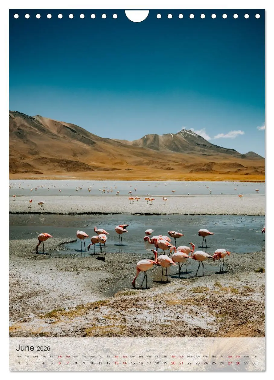 Bild: 9783516548419 | Longing for Travel (Wall Calendar 2026 DIN A4 portrait), CALVENDO...