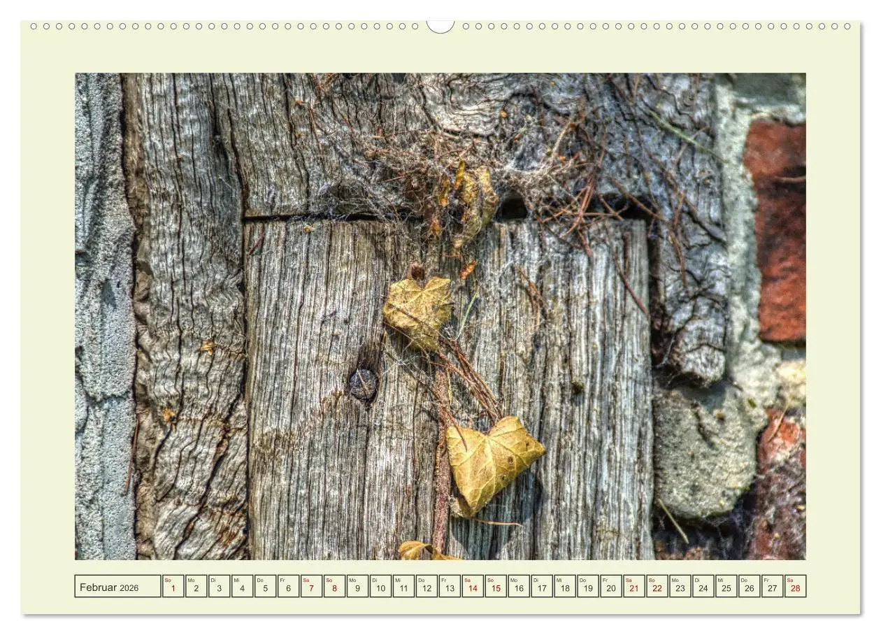 Bild: 9783457448519 | Einfach Holz (hochwertiger Premium Wandkalender 2026 DIN A2 quer),...
