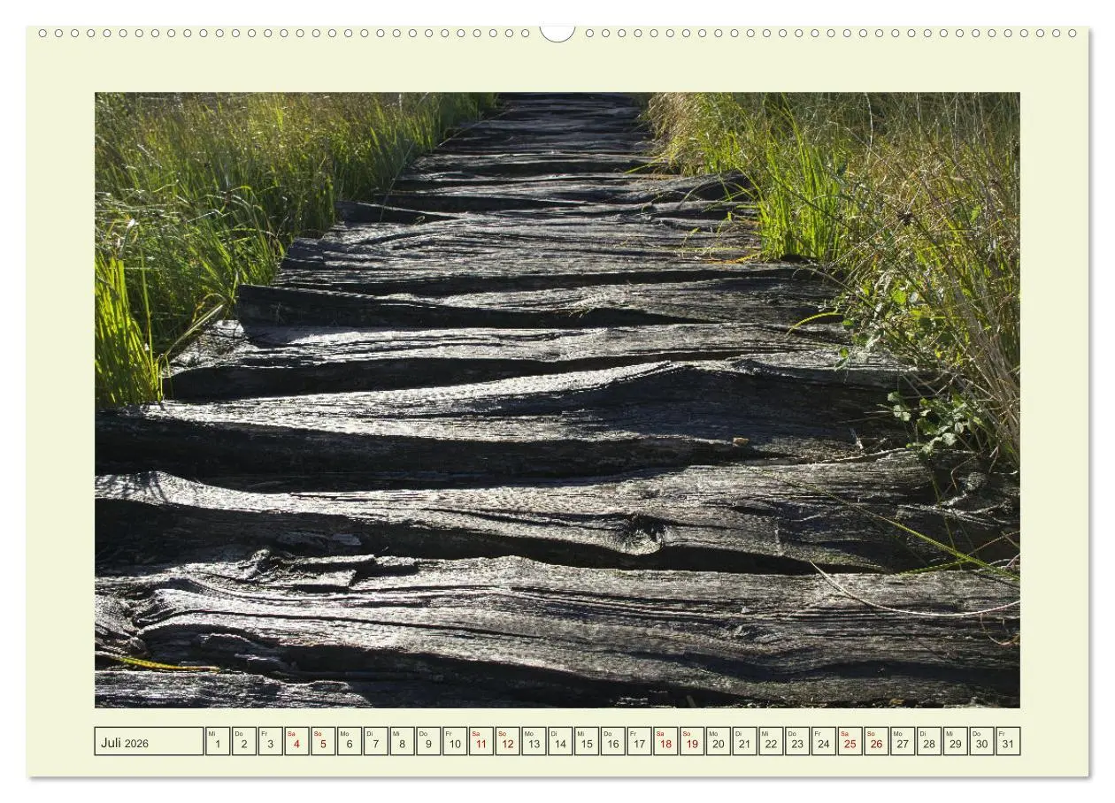 Bild: 9783457448519 | Einfach Holz (hochwertiger Premium Wandkalender 2026 DIN A2 quer),...