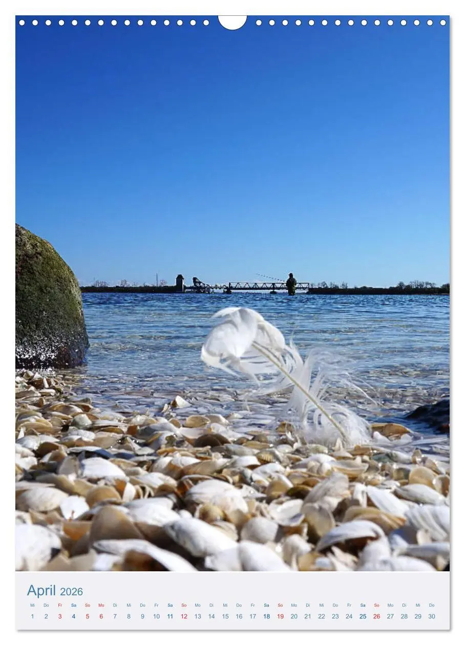 Bild: 9783516398519 | Kappeln und Schlei (Wandkalender 2026 DIN A3 hoch), CALVENDO...