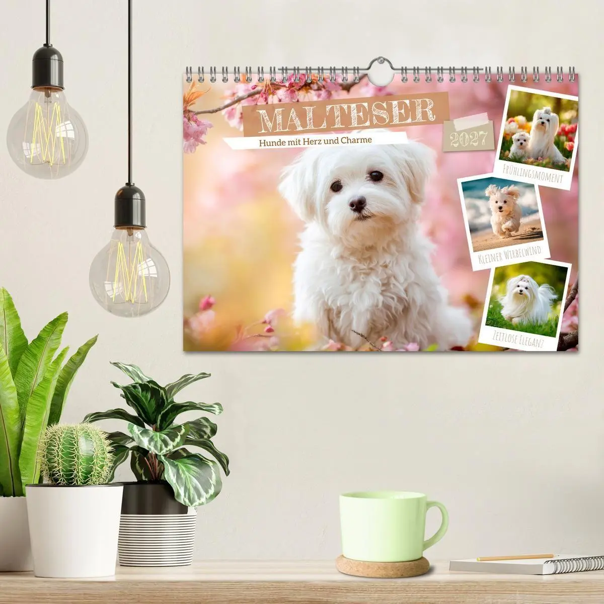 Bild: 9783594378519 | Malteser - Hunde mit Herz und Charme (Wandkalender 2027 DIN A4...