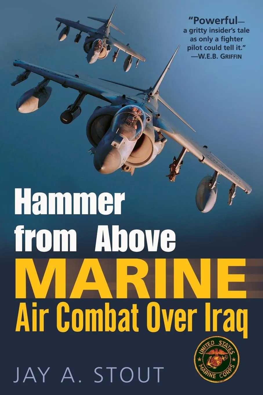 Cover: 9780891418719 | Hammer from Above | Marine Air Combat Over Iraq | Jay A. Stout | Buch