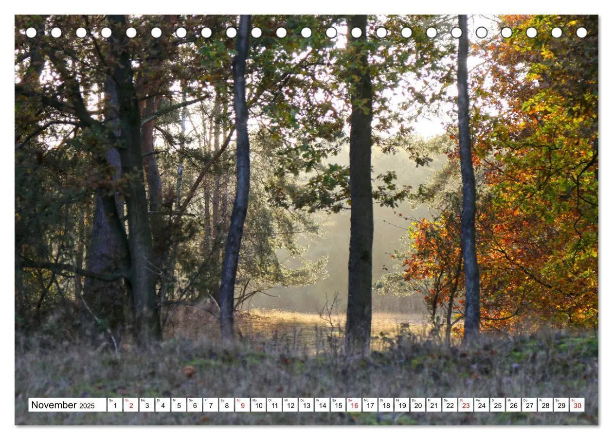 Bild: 9783383868719 | Lingen Ems (Tischkalender 2025 DIN A5 quer), CALVENDO Monatskalender